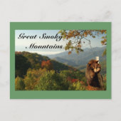 Smoky Mountain Black Bar Postkarte (Vorderseite)