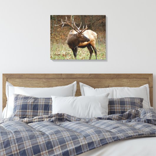 Smoky Mountain Elk Leinwand (Insitu (Schlafzimmer))