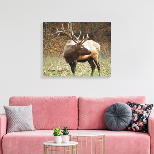 Smoky Mountain Elk Leinwand (Insitu (Wohnzimmer))