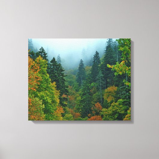 Smoky Mountain Fall Foliage Leinwanddruck (Vorderseite)