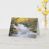 Smoky Mountain Stream Karte (Gelbe Blume)