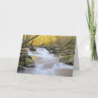 Smoky Mountain Stream Karte