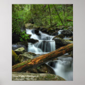 Smoky Mountain Stream Poster (Vorne)