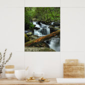 Smoky Mountain Stream Poster (Küche)