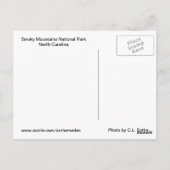 Smoky Mountain Stream Postkarte (Rückseite)