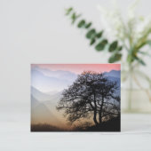 Smoky Mountain Sunset Blue Ridge Foto Postkarte (Stehend Vorderseite)