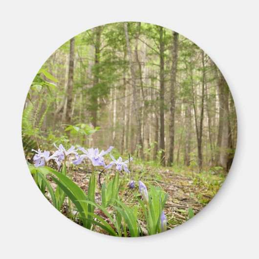Smoky Mountain Trail im Frühling Magnet (Vorne)