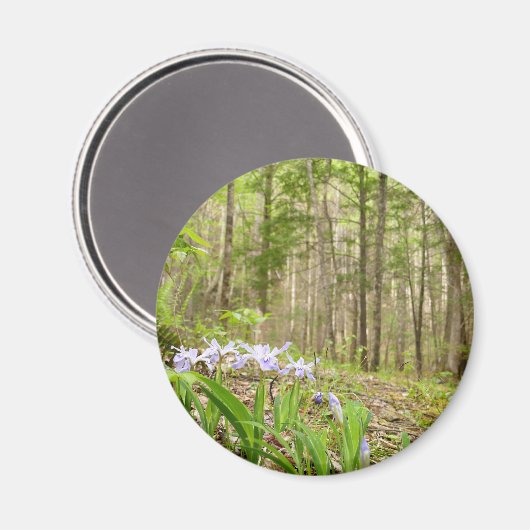 Smoky Mountain Trail in Spring Magnet (Vorderseite/Rückseite)