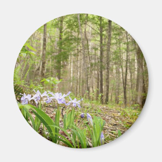 Smoky Mountain Trail in Spring Magnet (Vorne)