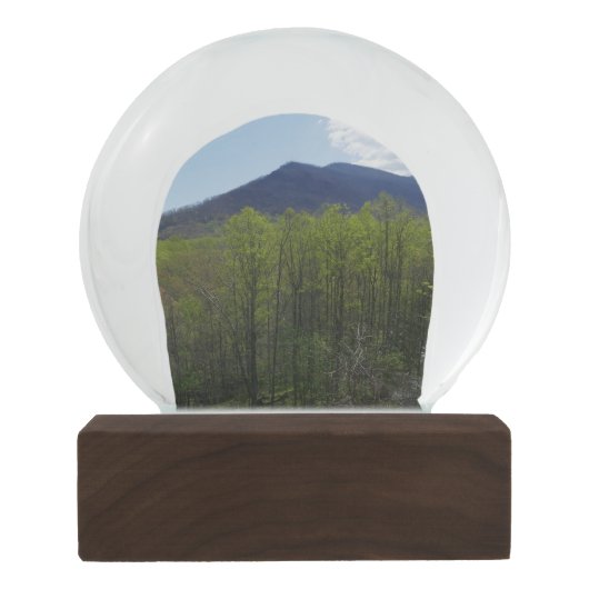 Smoky Mountains in Spring Schneekugel (Rückseite)