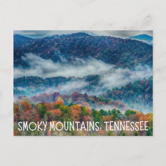 Smoky Mountains Tennessee Postkarte (Vorderseite)