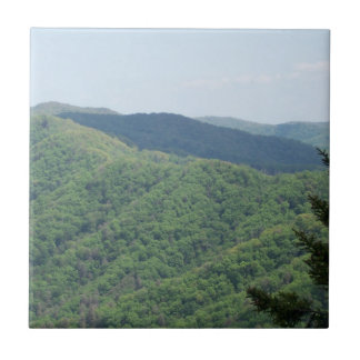 Smoky Mountains Trivet Tile 1 Fliese