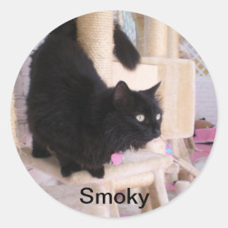 Smoky - Schwarze Katzen RULE! Aufkleber