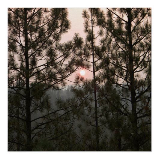 Smoky Sonnenaufgang vom Carr Fire 2018... Poster (Vorderseite)