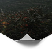 Smokygebirge 2002 poster (Ecke)