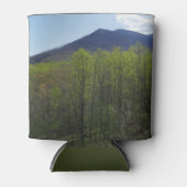 Smokygebirge in der Frühjahrslandschaft Dosenkühler (Vorderseite)