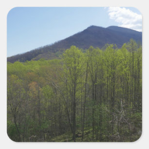 Smokygebirge in der Frühjahrslandschaft Quadratischer Aufkleber