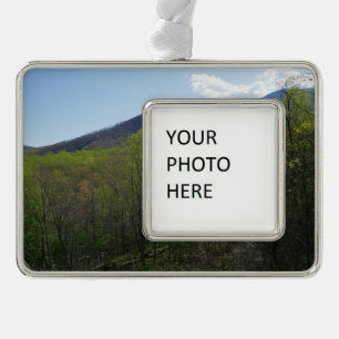 Smokygebirge in der Frühjahrslandschaft Rahmen-Ornament Silber