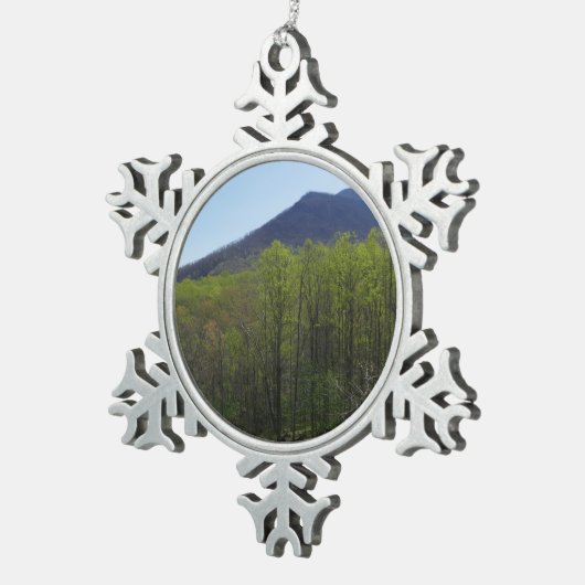 Smokygebirge in der Frühjahrslandschaft Schneeflocken Zinn-Ornament (Rechts)
