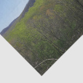 Smokygebirge in der Frühjahrslandschaft Seidenpapier (Ausschnitt)