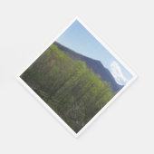 Smokygebirge in der Frühjahrslandschaft Serviette (Ecke)