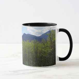 Smokygebirge in der Frühjahrslandschaft Tasse