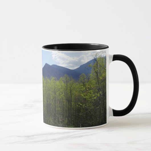 Smokygebirge in der Frühjahrslandschaft Tasse (Rechts)