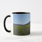 Smokygebirge in der Frühjahrslandschaft Tasse (Links)