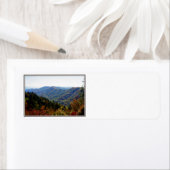 Smokys fallen (Insitu)