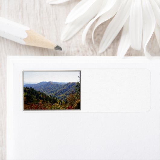 Smokys fallen (Insitu)