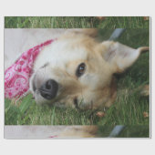 Smoochie Geschenkpapier (Flach)
