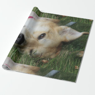 Smoochie Geschenkpapier
