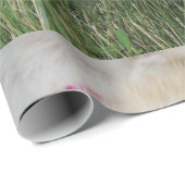 Smoochie Geschenkpapier (Rolleneckpunkt)