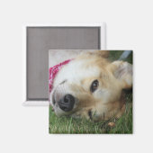 Smoochie Magnet (Vorderseite/Rückseite)