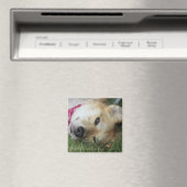 Smoochie Magnet (In Situ (Geschirrspüler))