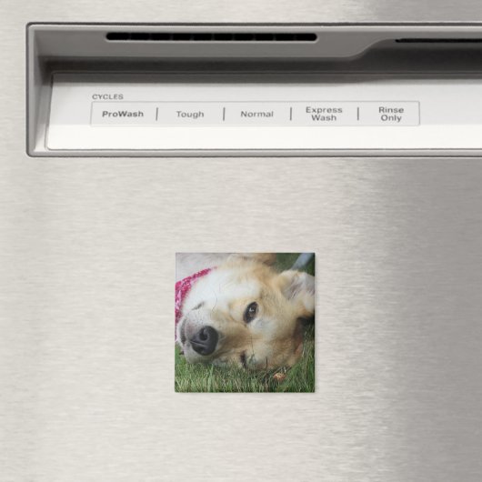 Smoochie Magnet (In Situ (Geschirrspüler))