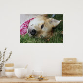 Smoochie Poster (Küche)