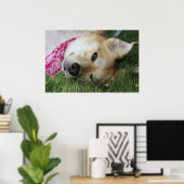 Smoochie Poster (Heimbüro)