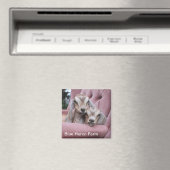 Smooshie Baby Goat Magnet (In Situ (Geschirrspüler))