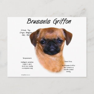 Smooth Brussels Griffon History Postkarte