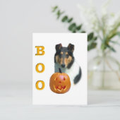 Smooth Collie Boo Postkarte (Stehend Vorderseite)