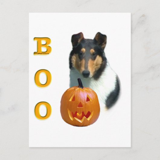 Smooth Collie Boo Postkarte (Vorderseite)