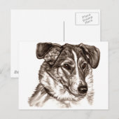 Smooth Collie Portrait Postkarte (Vorne/Hinten)