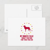 Smooth Collie Postkarte (Vorne/Hinten)