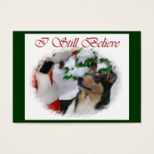 Smooth Collie Weihnachtspenden