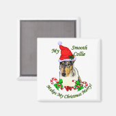Smooth Collie Weihnachtspenden Magnet (Vorderseite/Rückseite)
