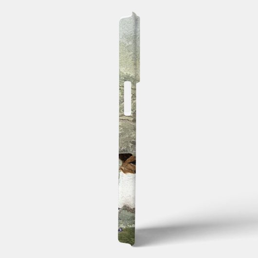 Smooth Fox Terrier Case-Mate iPhone Hülle (Rückseite / Rechts)