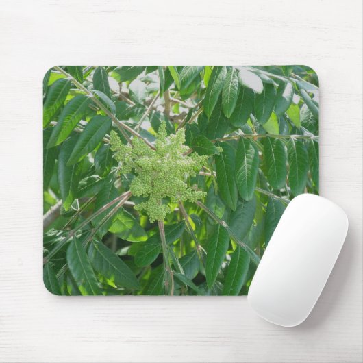 Smooth Sumac Blume Mousepad (Mit Mouse)
