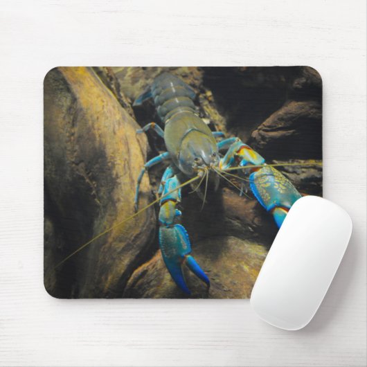 Smooth Yabby Mousepad (Mit Mouse)