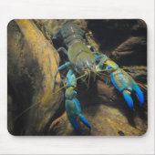 Smooth Yabby Mousepad (Vorne)